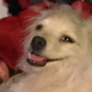 Meet your Posher, Carmen